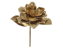 13,86 ����, ��� 12