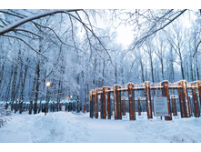 IMG 20240108 155444.jpg