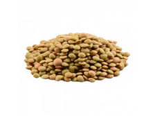 �������� �������