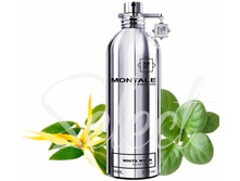 WHITE MUSK MONTALE � � 100 �� 5000+%+����