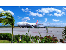 IMG 20240206 140132.jpg