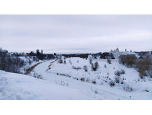 IMG 20240203 130141.jpg