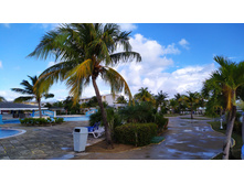 IMG 20240207 082241.jpg