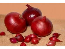 ��� ����� ������ ������� 9-21 ������� 1��.jpg