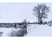 IMG 20240203 133130.jpg