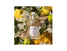 Guerlain Aqua Allegoria Bergamote Calabria 125 ��