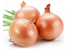 ��� ����� ������ ������� 9-21 ������� 1��.png