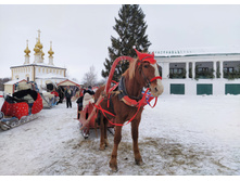 IMG 20240203 132707.jpg