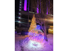 IMG 20240112 172158.jpg