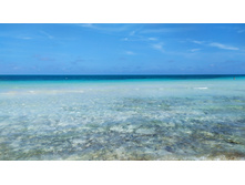 IMG 20240216 095812.jpg