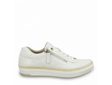 23***650-26-108 ���� �������, 2300 ��� �����! 1800 ���!