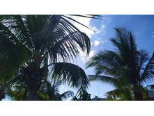 IMG 20240216 150446.jpg