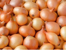 ���-����� ������ 1�� ������� 9-21 ���������� 1��.jpg