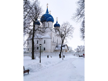 IMG 20240203 134805.jpg