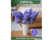 ����������� ����������� ����� �� ��� � ����, ��� �����!