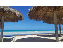 IMG 20240209 111758.jpg