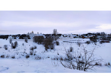 IMG 20240203 130135.jpg