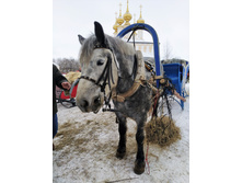 IMG 20240203 133736.jpg