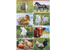 �������� "��������" �������, �6 ��-1448 6�