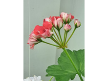 ����������� viber 2024-01-06 15-31-33-988.jpg