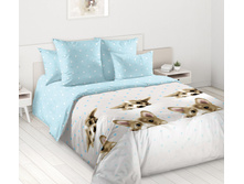 ������� ������ ������� 220 �� ������+���������