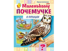 ������ 8� �5� ������� ���� �� ����� ���������� ���������-� ������- 16�