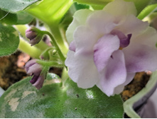 ����������� viber 2024-02-27 12-04-10-925.jpg