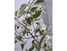 ����������� viber 2024-03-21 15-16-48-140.jpg