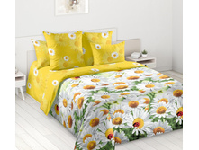 ������ ������ ������� 220 �� ������+���������