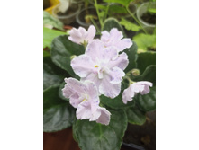 ����������� viber 2023-03-26 01-08-46-247.jpg