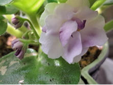 ����������� viber 2024-02-27 12-04-10-885.jpg