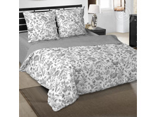 ��������� ���� 220 �� ������+���������