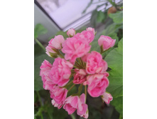 ����������� viber 2024-02-01 15-19-11-366.jpg