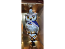 IMG 20240110 160655.jpg