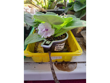 ����������� viber 2024-02-27 12-04-10-455.jpg