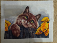 ������� ���������!