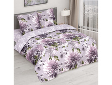 �������� ���� 220 �� ������+���������