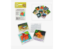 ����� �����. ����������� ����. ����� �������� 30,5�