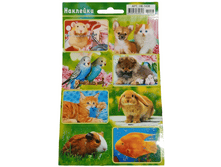 �������� "�������� ��������" �������, �6 ��-1438 6�