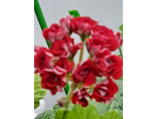 ����������� viber 2024-01-06 15-31-33-870.jpg