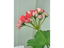 ����������� viber 2024-01-06 15-31-34-053.jpg