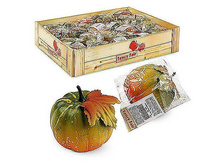 ����� ����� 60�