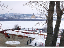 IMG 20240302 145335.jpg