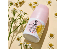 385 ��� - ����������-�������������� 48� � �������� �� �������, �������