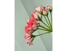 ����������� viber 2024-01-06 15-31-34-286.jpg