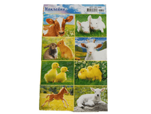 �������� "��������" �������, �6 ��-1449 6�