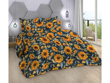 ���������� ���� 220 ��