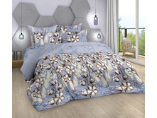 ������ ���� 220 ��