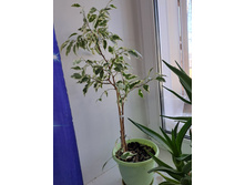 ����������� viber 2024-03-21 15-16-48-162.jpg