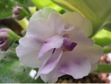 ����������� viber 2024-02-27 12-04-11-052.jpg